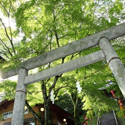 <br>【挙式】軽井沢　もみの木神殿
