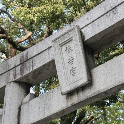福岡の「筑前一之宮 住吉神社」は、大阪・下関の住吉神社と並び日本三大住吉の一つ<br>【庭】自然豊かな境内