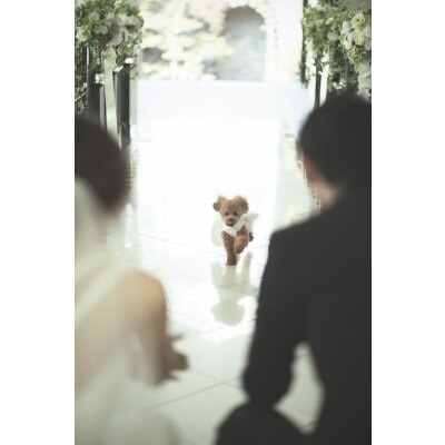 <br>【挙式】愛犬といっしょに「ペットウェディング」