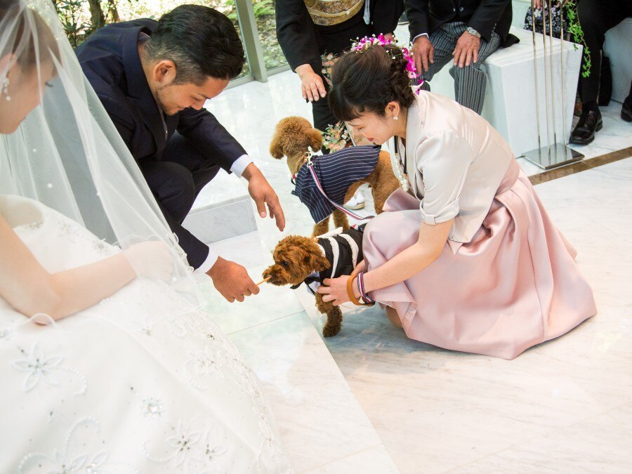 ドレス 和装 その他 ペットと一緒のウエディングのフォト 写真10枚 アネーリ 軽井沢 マイナビウエディング