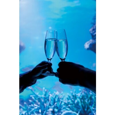 グラスがオーシャンブルーで満たされる水槽越しの乾杯。亀もお祝いに来たみたい!?