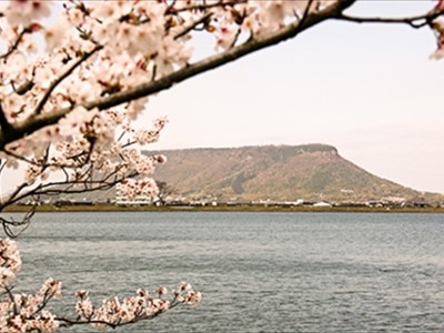 春は桜など、日本の美しい四季を感じる特別な一日に。ふたりの思い出のページを彩ろう