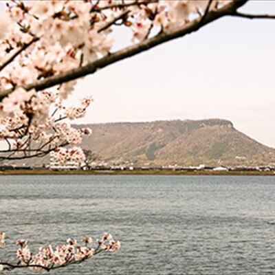 春は桜など、日本の美しい四季を感じる特別な一日に。ふたりの思い出のページを彩ろう<br>【外観】自然豊かなロケーションフォト