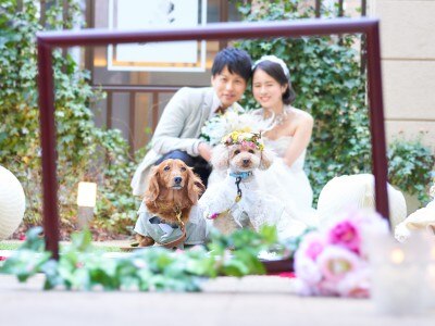 ホテルローズガーデン新宿で結婚式 マイナビウエディング