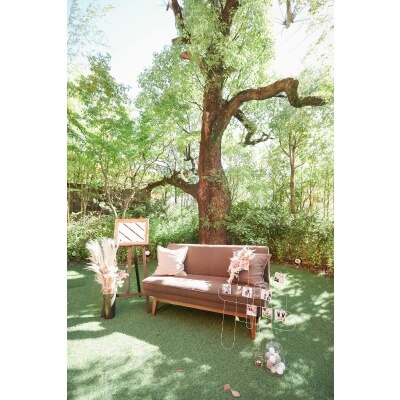 お庭にある大きなシンボルツリーの前でソファーを用意してフォトスポットに！