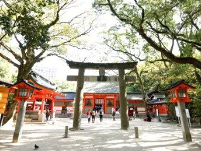 9万5000円で叶う 小さな神社式プラン 小さな結婚式 福岡店 マイナビウエディング