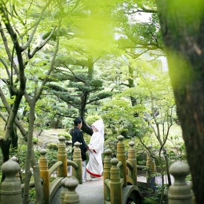 本館奥に広がる名勝庭園に認定された和庭園。四季折々に表情を変え、散策も楽しめる<br>【庭】日本庭園