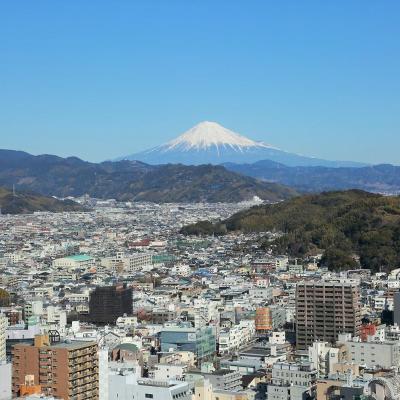 世界遺産・富士山が見える会場も！　日本を代表する霊峰の姿にゲストも大喜び