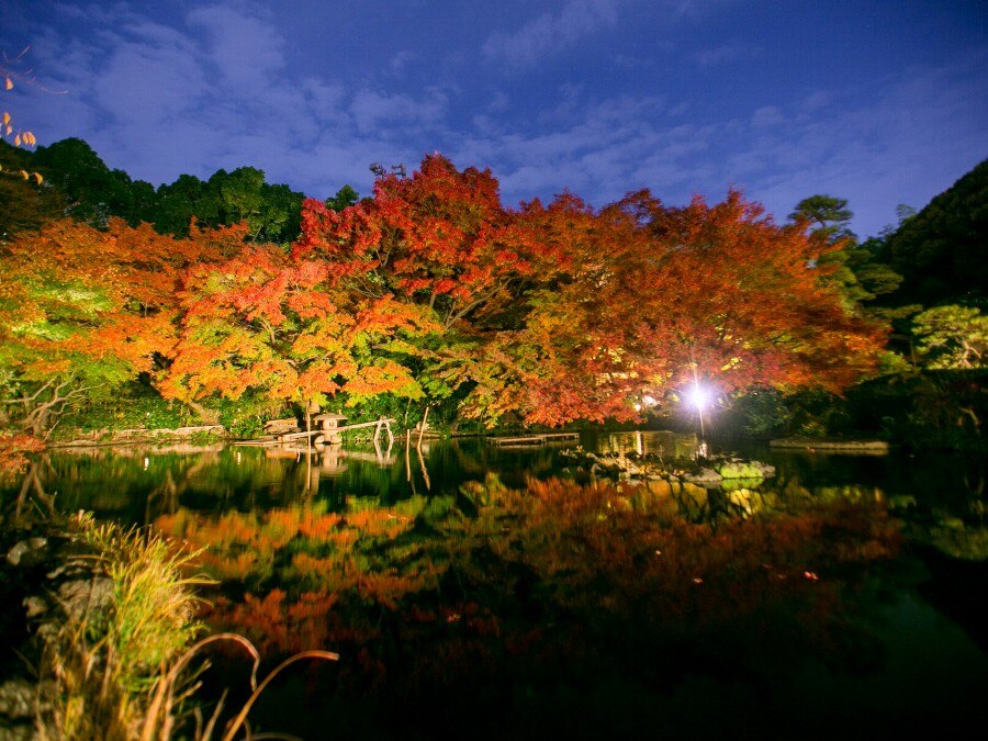 庭 日本庭園 秋 のフォト 写真3枚 ホテルニューオータニ マイナビウエディング