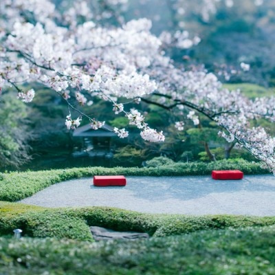 <br>【庭】日本庭園/春