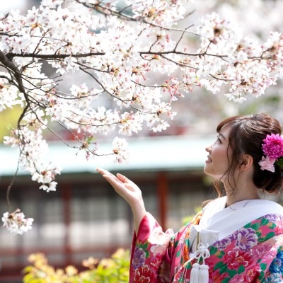 桜の咲いた神泉苑での前撮りが大人気！