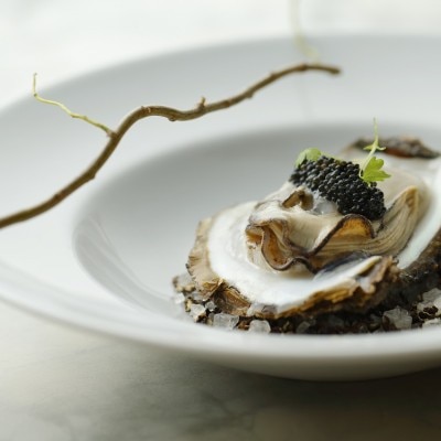 <br>【料理・ケーキ】東京FOOD_純白＆山吹