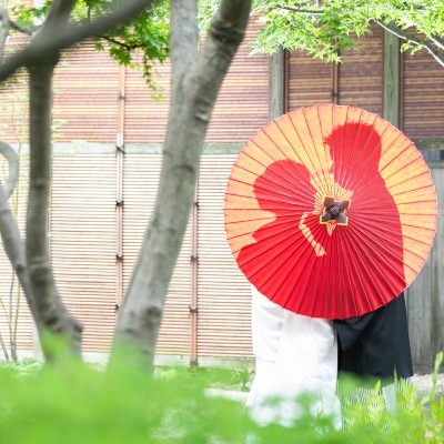 和装撮影の人気スポット、日本庭園