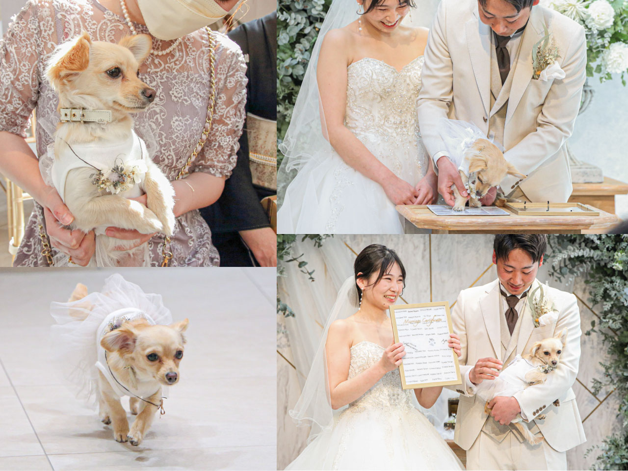結婚証明書