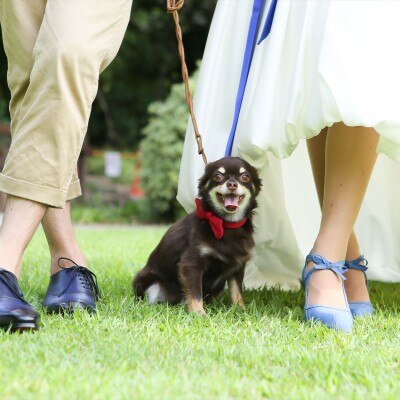 家族の一員　愛犬と共に結婚式を<br>【挙式】大切な家族の一員 ペットと共に挙げる温かな挙式