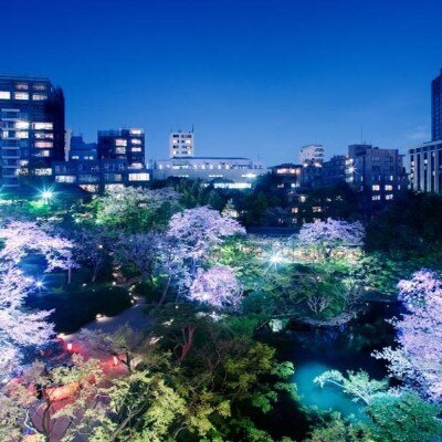 <br>【庭】日本庭園/春