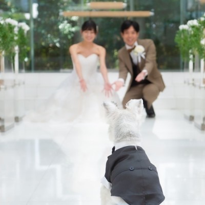 <br>【挙式】【With Dog Wedding】愛犬と一緒に叶える挙式