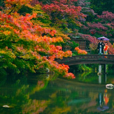 日本庭園での前撮りは紅葉の季節に人気。二人の和装がよく映えます。<br>【ドレス・和装・その他】＜前撮り＞チャペルでの撮影やロケーションフォトも