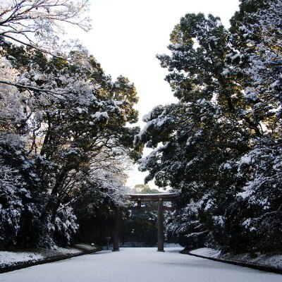 雪化粧をすると、境内はいっそう神秘的な雰囲気に。四季折々の表情も思い出になる<br>【庭】森厳なる明治神宮の杜