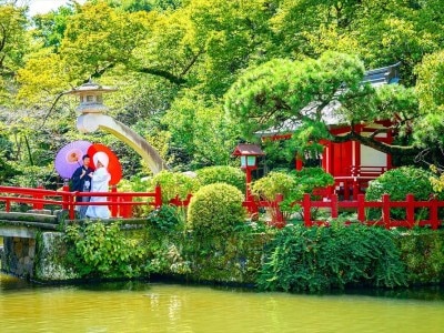 神前式では、春は桜、夏は新緑が美しい三嶋大社の境内で和の写真もたくさん残せる