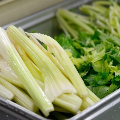  <br>【料理・ケーキ】食通ゲストも満足の美食コースでおもてなし