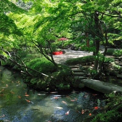 いつ訪れても四季折々の風情で迎えてくれる日本庭園。心からくつろげる癒しの空間<br>【庭】日本庭園/夏
