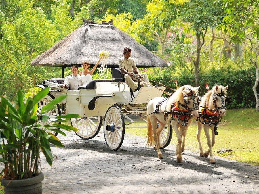 バリ島　リゾート内を巡る人気のオプション「馬車」