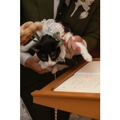 <br>【ドレス・和装・その他】ワンちゃんやネコちゃんと一緒のウエディング