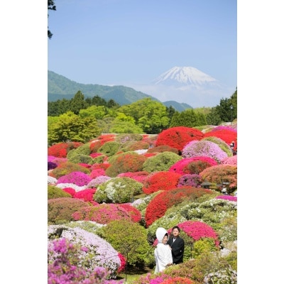 美しいつつじ庭園と富士山。山のホテルならではの1枚です。<br>【庭】45000坪の緑いっぱいの庭園(四季折々の表情をお楽しみ下さい)