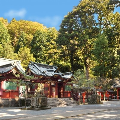 1200有余年の歴史を持つ「箱根神社」での神前式。縁結びの神に見守られて誓いを