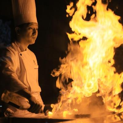 <br>【料理・ケーキ】新コース料理