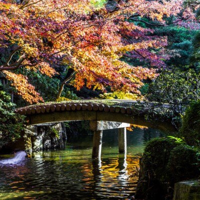 敷地の半分以上を占める日本庭園。四季を感じながらゲストとの歓談を楽しんで