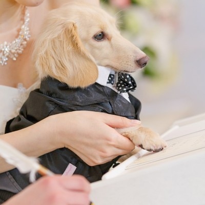 お二人の愛を愛犬に承認してもらおう！結婚証明書も大切な思い出の品に<br>【挙式】ペットウェディング