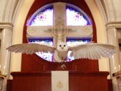 大聖堂でのフクロウが指輪を運ぶアウルセレモニー
