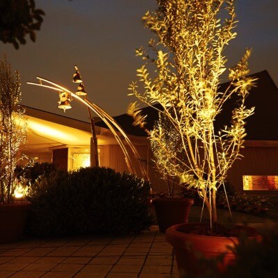 夜の幻想的なチャペルは、ロマンチックな雰囲気をさらに盛り上げる★<br>【庭】ガーデン