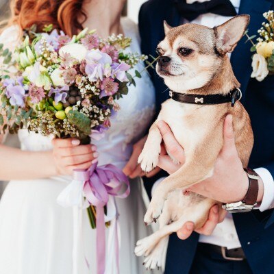 <br>【ドレス・和装・その他】【ペットウエデイング】「愛犬と一緒に結婚式をしたい」というお声に応えた、ペットと一緒のウエディン