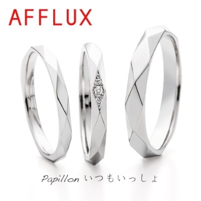 Papillon MR 白バック