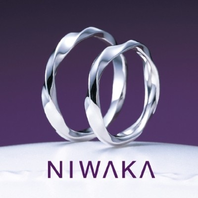 NIWAKA　禅の輪