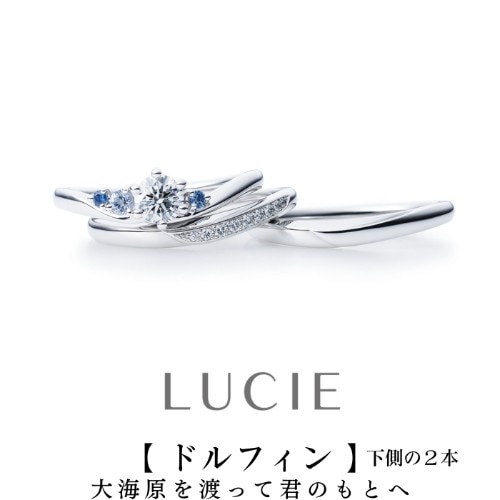 日本に42人だけのジュエリー1級プロの1人が応援する期待の結婚指輪「ドルフィン」