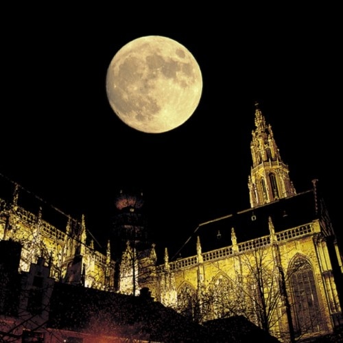 Clair de Lune Fine クレア ド ルーン フィーヌ』月の光が見守る、愛の
