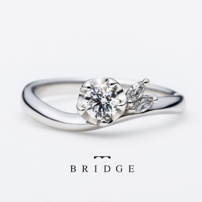Bridge Winter Camellia 運命の花 婚約指輪 Id Bridge ブリッジ銀座アントワープブリリアントギャラリー マイナビウエディング
