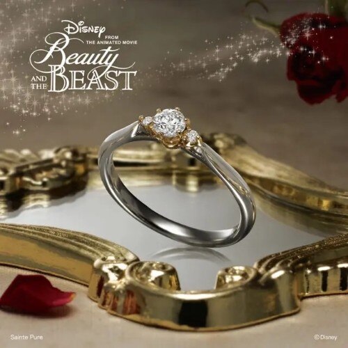 Disney Beauty and the Beast：True Beauty－真実の美しさ‐