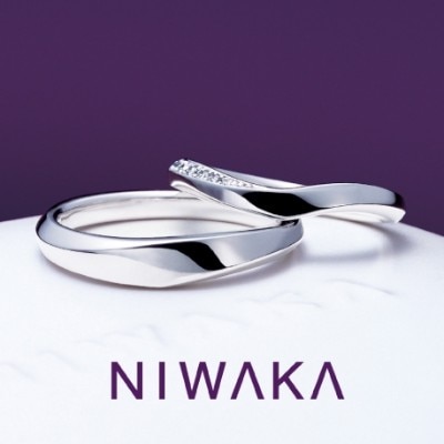 NIWAKA 水鏡