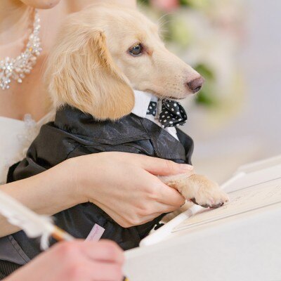 愛犬も結婚誓約書に肉球でサイン♪　カワイイ演出にゲストから自然と拍手が